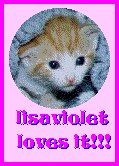 LisaViolet Loves It