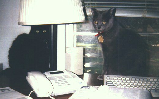 Cody and Bebe