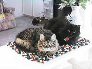 Alex and Bebe